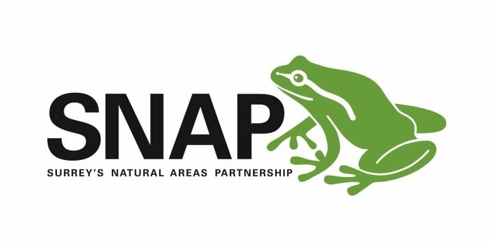SNAP logo from letterhead SNAP logo