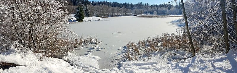 Green Timbers Lake in winter